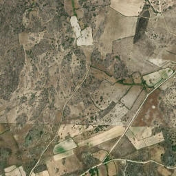 Mata de Lobos map(satellite map)