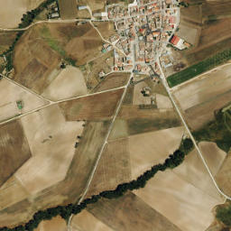 Muñosancho map(satellite map)