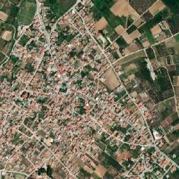 Terpní map(satellite map)