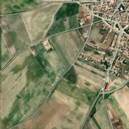 Muñopedro map(satellite map)