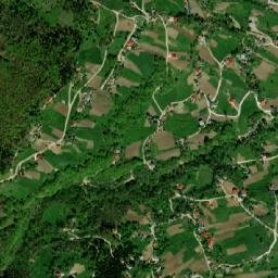 Tonya map(satellite map)