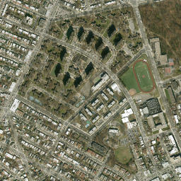 Edenwald Houses New York High Resolution Satellite Map