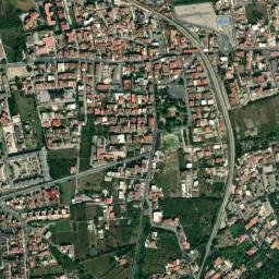 Quarto map(satellite map)
