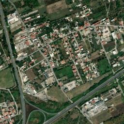 Musci map(satellite map)