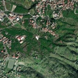 Domicella map(satellite map)