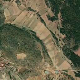 Cobeta map(satellite map)
