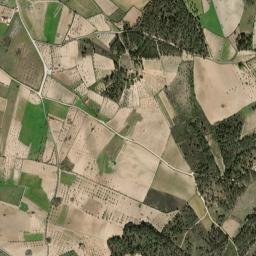 Coriscada map(satellite map)