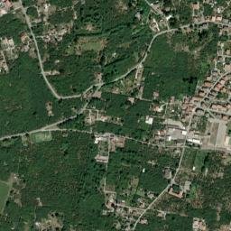 Forino map(satellite map)