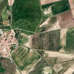 Viñegra de Moraña map(satellite map)