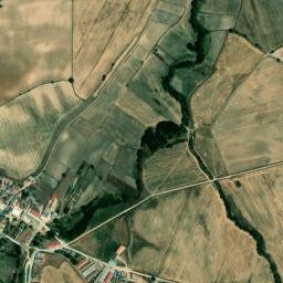 Monterrubio map(satellite map)