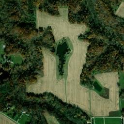 Wildwood Lane me<x>tamora IL 61548 High Resolution Satellite Map