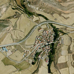 Cosa map(satellite map)