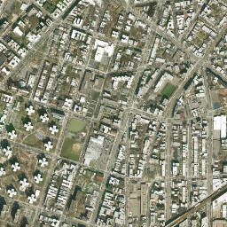 Forest Houses New York High Resolution Satellite Map