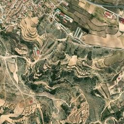 Aguaviva map(satellite map)