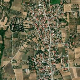Pentaplátano map(satellite map)