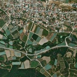 Elaiochóri map(satellite map)