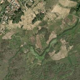 Cogula map(satellite map)