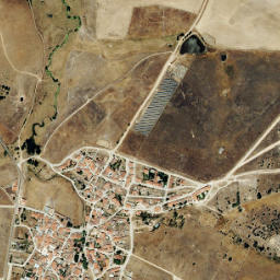 Morille map(satellite map)