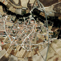 Santiago de la Puebla map(satellite map)