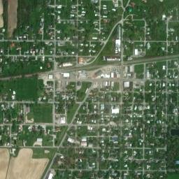 Forest map(satellite map)