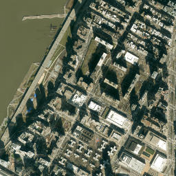 Phipps Houses New York High Resolution Satellite Map