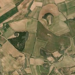 Cañizar map(satellite map)