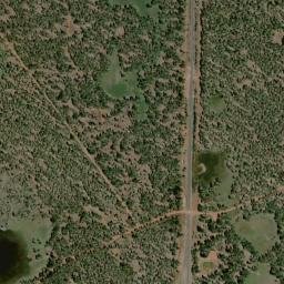 Halls Flat California High Resolution Satellite Map