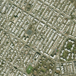 Woodside Houses New York High Resolution Satellite Map