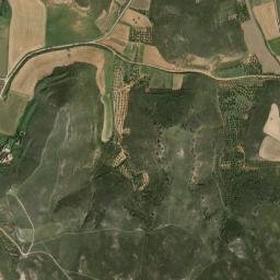 Ciruelas map(satellite map)