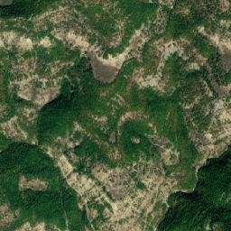 Bashkia Maliq map(satellite map)