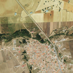 Cabrillas map(satellite map)