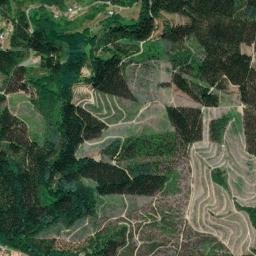 Sever do Vouga map(satellite map)