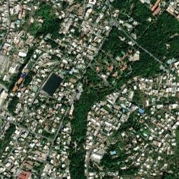 Ischia map(satellite map)