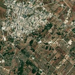 Casalini map(satellite map)