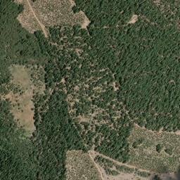 Whittington Place California High Resolution Satellite Map