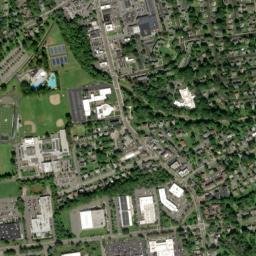New Providence map(satellite map)