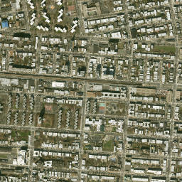 Brevoort Houses New York High Resolution Satellite Map
