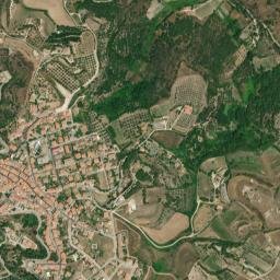 Codrongianos map(satellite map)