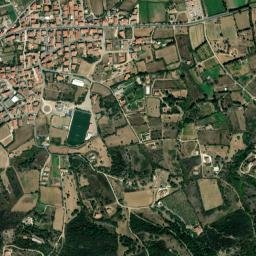 Torpè map(satellite map)