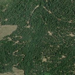 Bateman Place California High Resolution Satellite Map