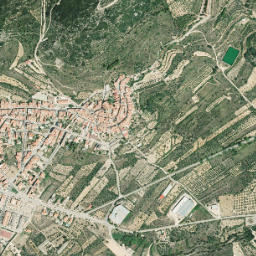 Rosell map(satellite map)