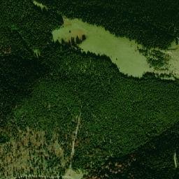 Dereli map(satellite map)
