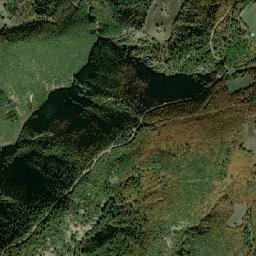Niksar map(satellite map)