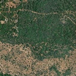 Redwoods California High Resolution Satellite Map