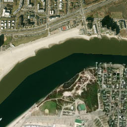 Roy Reuther Houses New York High Resolution Satellite Map