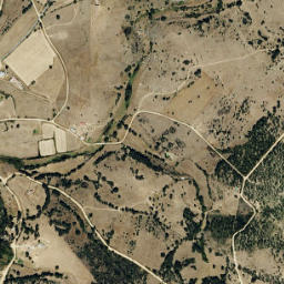 Monleón map(satellite map)