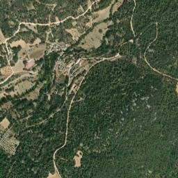 Alique map(satellite map)