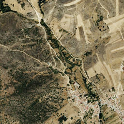 Amavida map(satellite map)