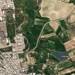 Montemesola map(satellite map)
