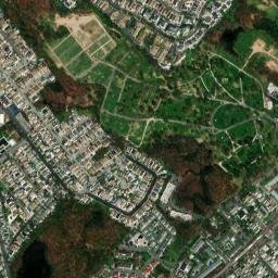 Staten Island map(satellite map)
